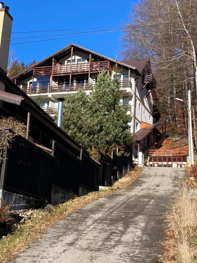 Ski View Studio - Near The Ski Slopes Azuga Exterior foto